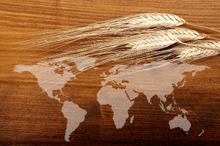 Celosvětový obchod s obilninami
